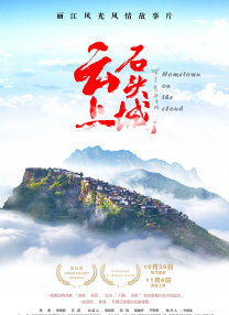 台湾佬视频