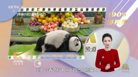 久久爰